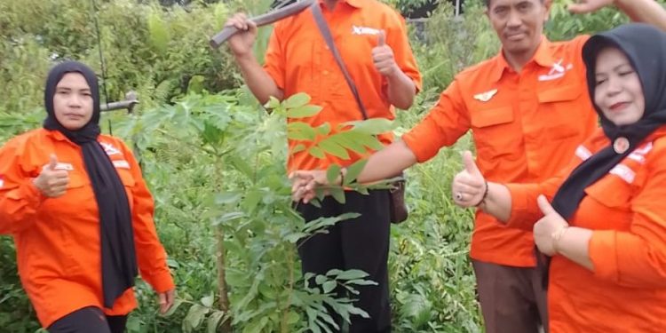 Dpw gr kalteng e1771841335245 750x375